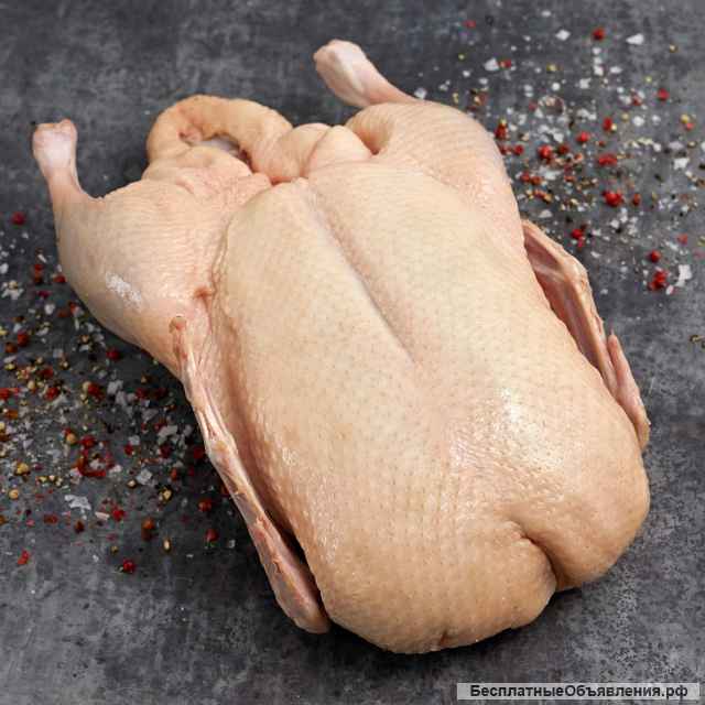 Утка фермерская оптом и в розницу