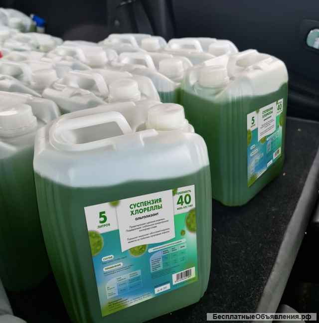 Хлорелла для водоемов. Гарантия лучшей цены.