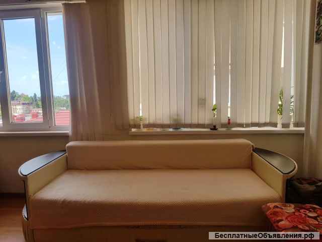 Большая студия в Сочи