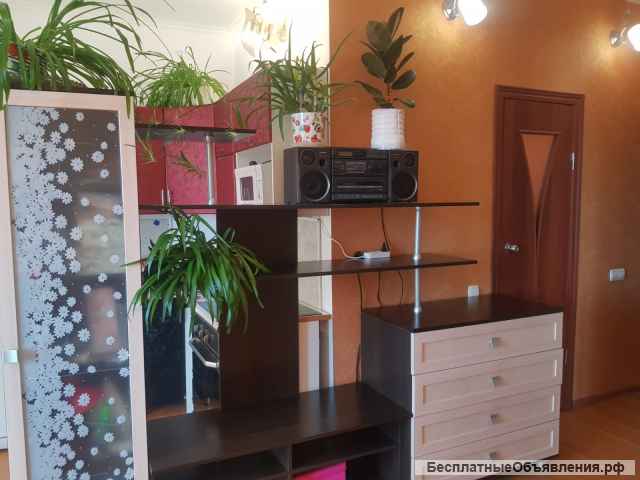 Большая студия в Сочи