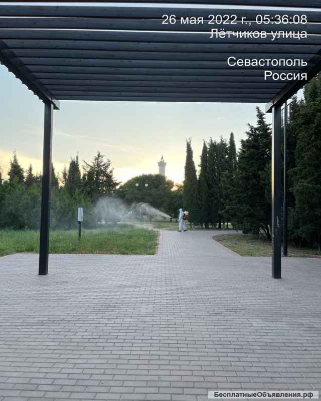 Противоклещевая обработка парков и скверов в городе Севастополе