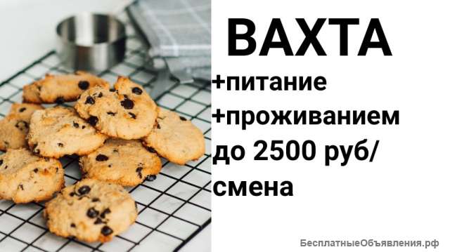 Упаковщик вахтой в Москве с питанием