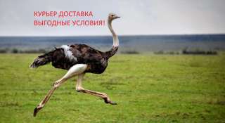 Работа пеший курьер доставка еды по всей России