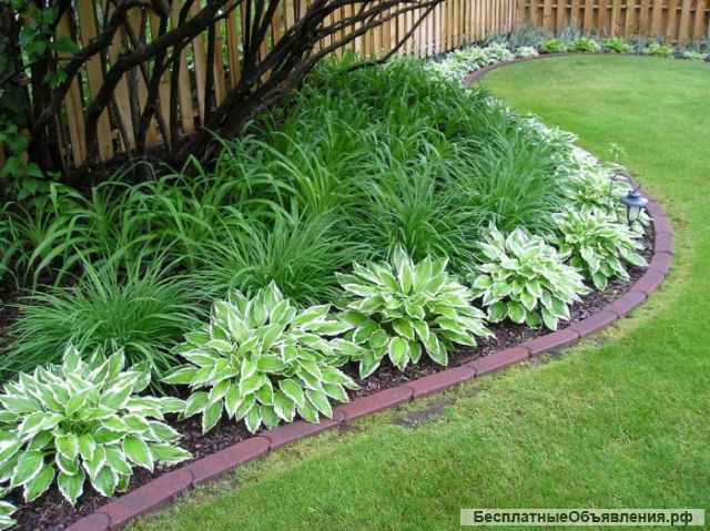 Ландшафтный дизайнер