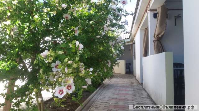 Отдых в Крыму. Частный сектор "Алмаз" в п. Заозерное