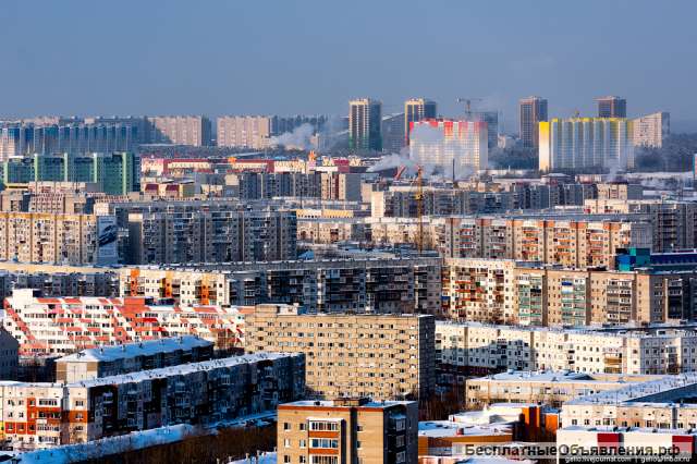 Футболки с рисунками