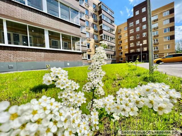 Квартира в новостройке