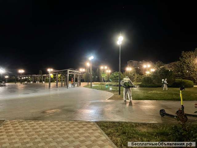 Проведение акарицидной обработки на зеленых зонах общественного пользования