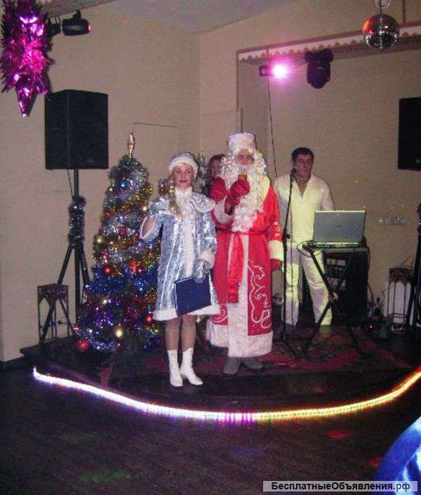 Дед Мороз и Снегурочка на дом