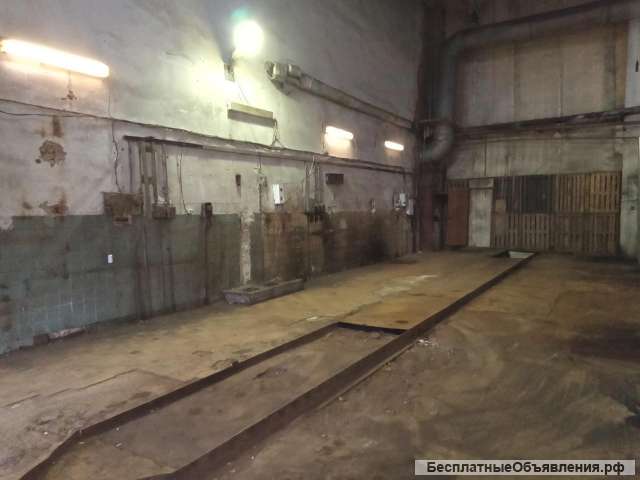 Сдается помещение площадью 135 м2