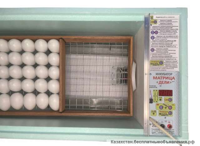 Лучший Инкубатор Матрица Блиц