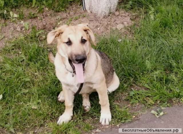 Нюша оказалась на улице