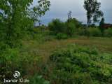 Участок 15 соток ст. Озерки Тальменский район Алтайский край