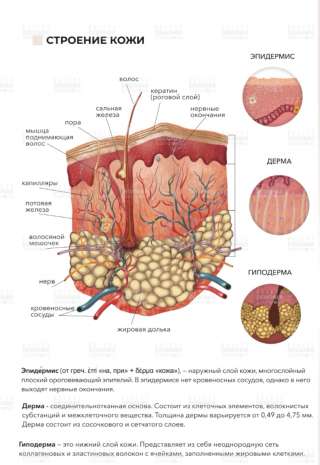 Ультpaзвуковая чистка лица пилинг