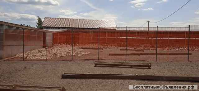 Фермерская утка и субпродукты оптом и в розницу