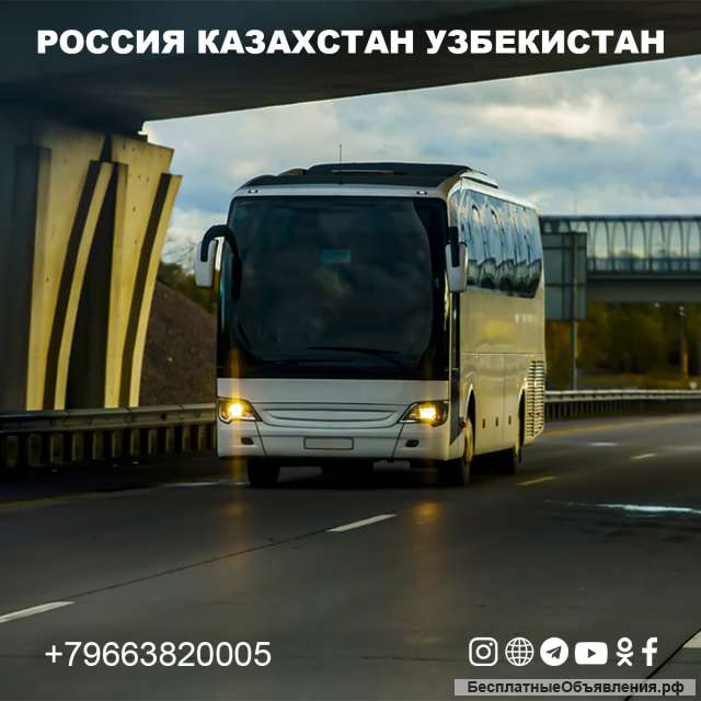 Москва Ташкент автобус