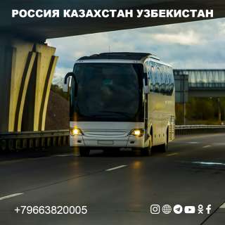 Москва Ташкент автобус