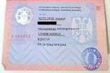 Открытие фирмы и ВНЖ в Сербии