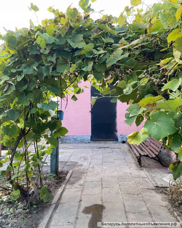 Дача в Добрушском районе Строитель-3, д. Зябровка