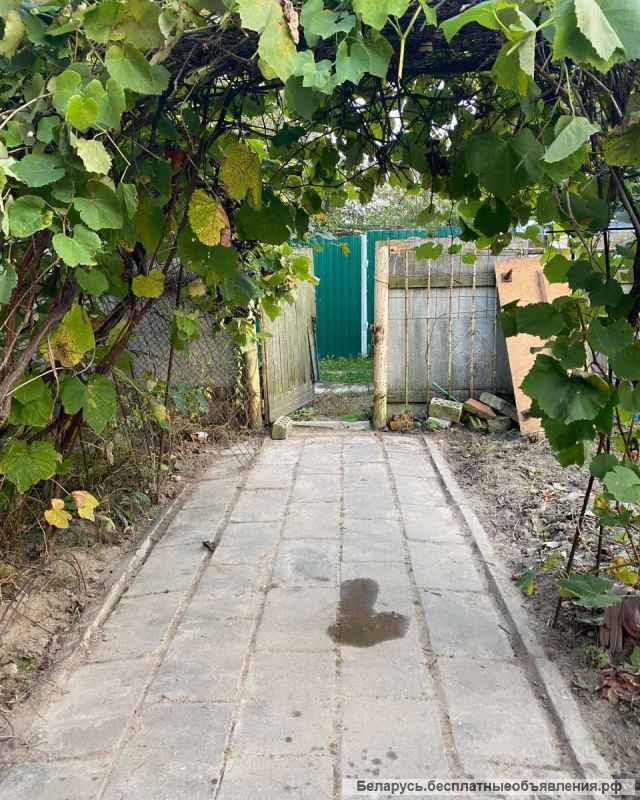 Дача в Добрушском районе Строитель-3, д. Зябровка