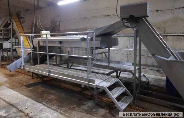 Линия по очистке и вакуумации овощей. (Бельгия) Б/У