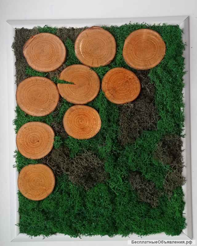 Фито-картины