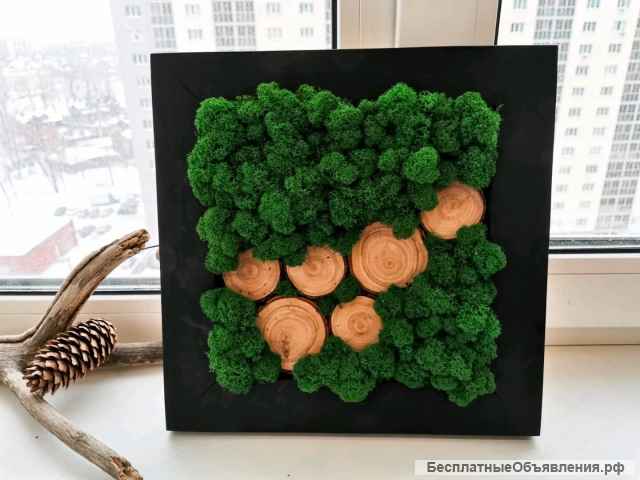 Фито-картины