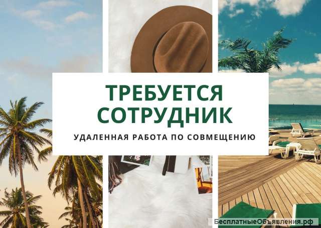 Администратор сайта