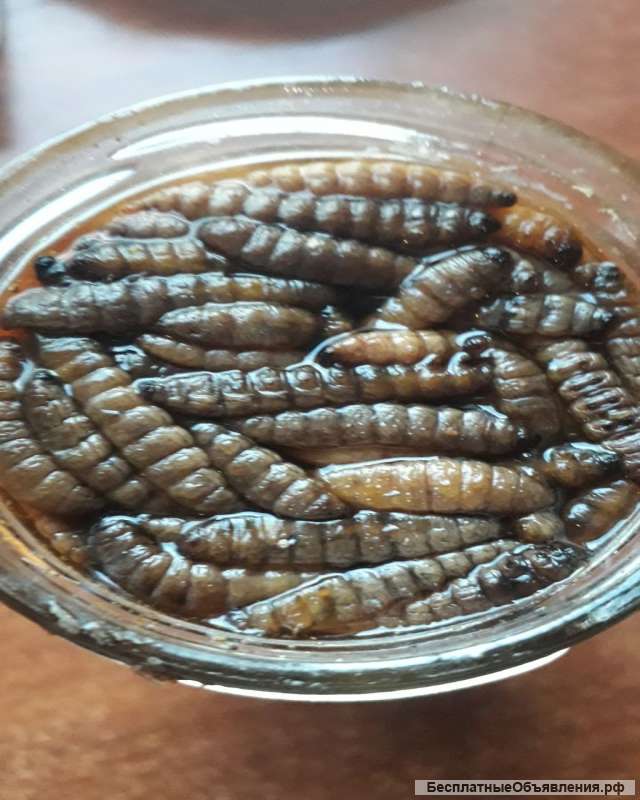 Пчелопродукция