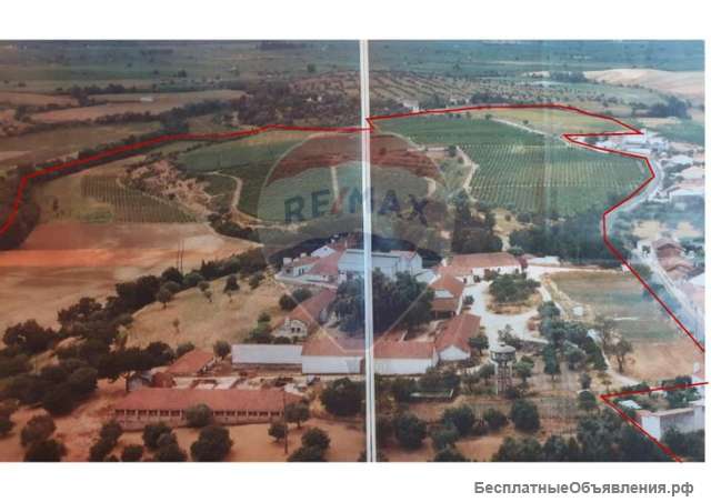 Удивительная территория с огромным пространством