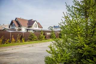 Участок у леса