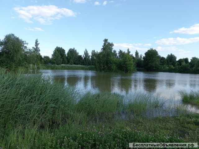 Участок 10 соток у леса