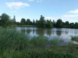 Участок 10 соток у леса