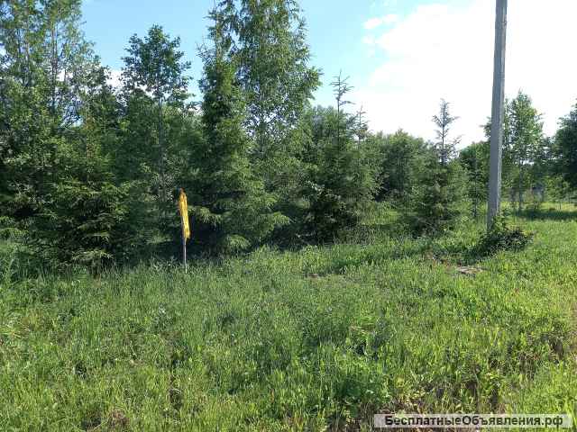 Участок 10 соток у леса
