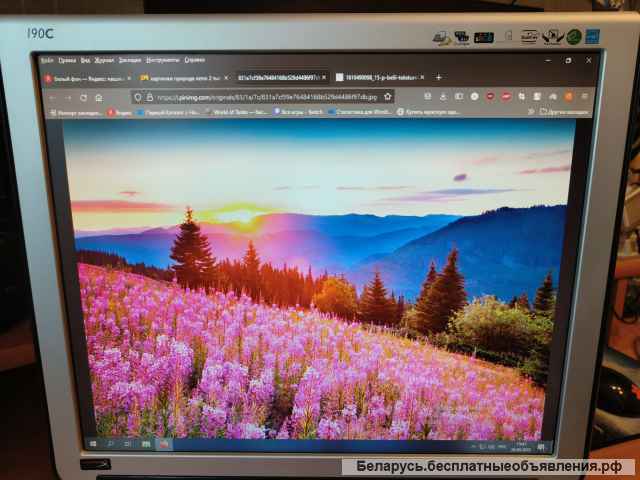 Монитор Philips, 19 дюймов