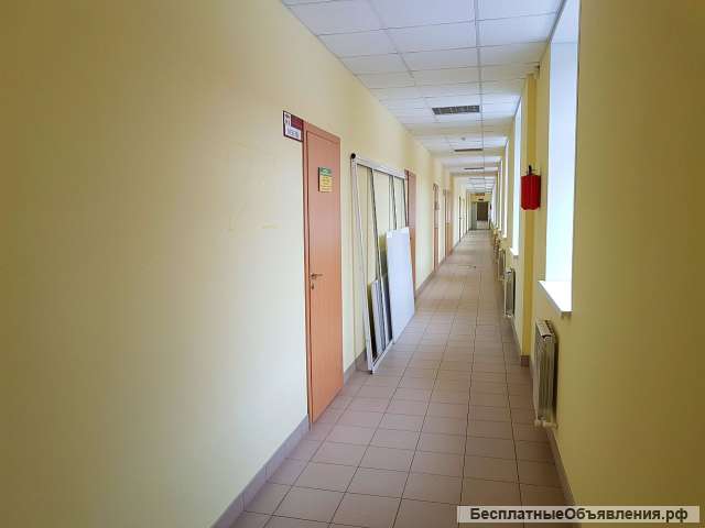 Офисную площадь 920 кв.м в центре Иванова