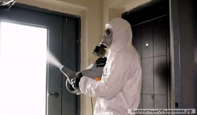 Дезинфекция уничтожение тараканов клопов без запаха