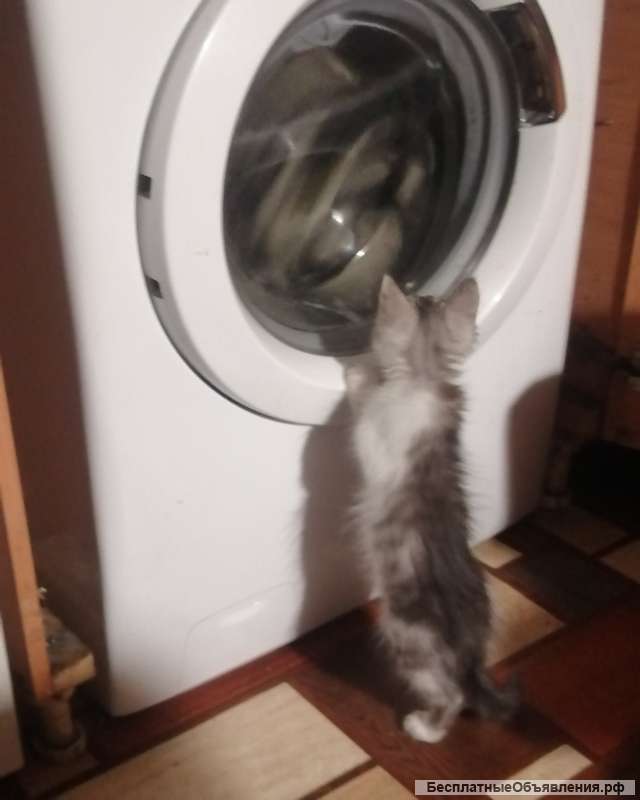 Ремонт бытовой техники любой сложности