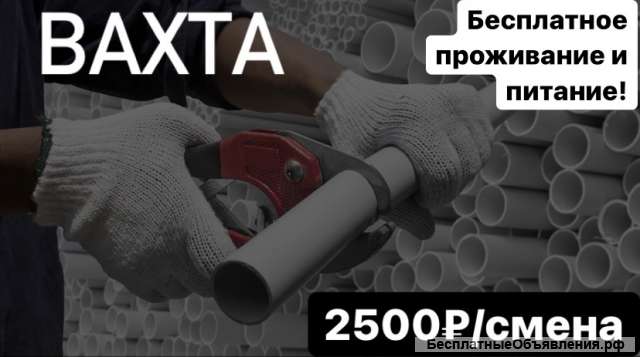 Упаковщик Вахта 15/30/45/60 питание + проживание Москва