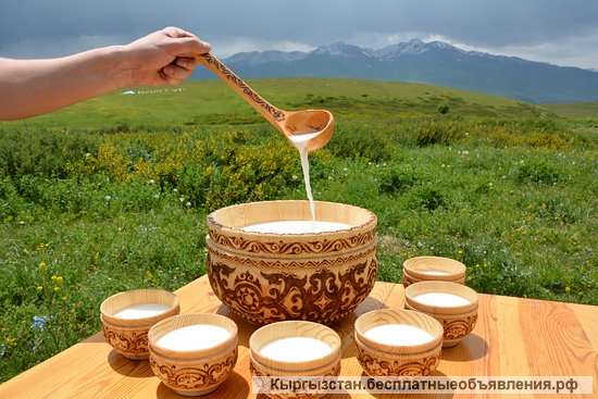 Кымысолечение