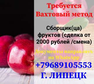 Упаковщицы (ки) фруктов на вахту в Москву 15/30 с проживанием