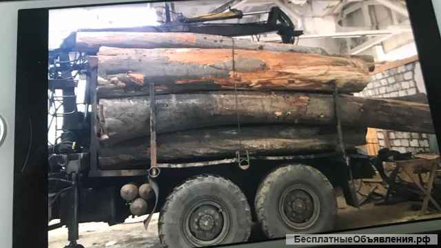 Бук пиломатериалы от производителя оптом с склада