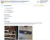 Свежеобжаренный кофе в зернах от производителя