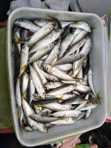 Рыбалка на катере в открытом море