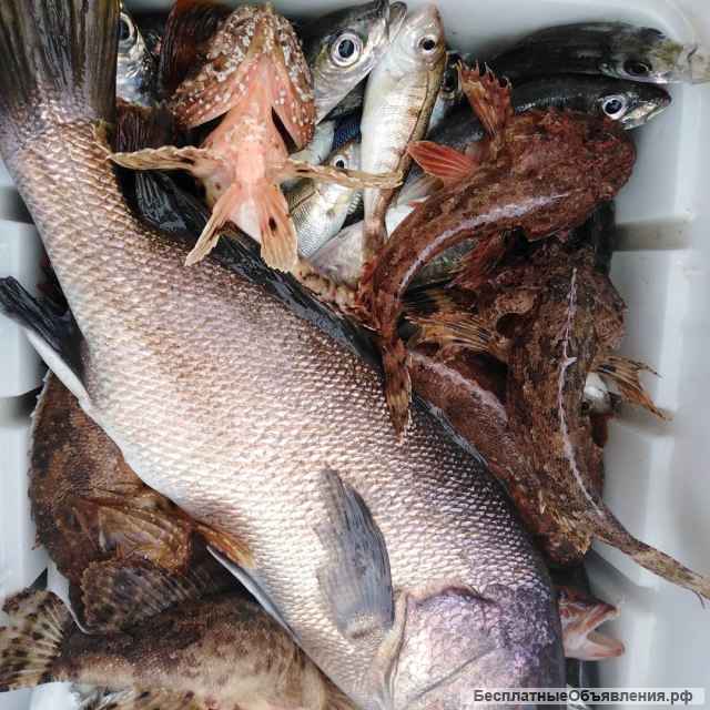 Рыбалка на катере в открытом море