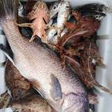 Рыбалка на катере в открытом море