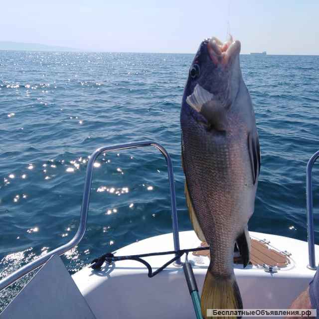 Рыбалка на катере в открытом море