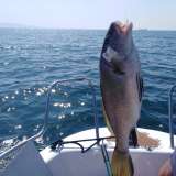 Рыбалка на катере в открытом море