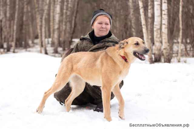 Длинноногая красавица Лилит ищет дом