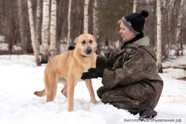 Длинноногая красавица Лилит ищет дом